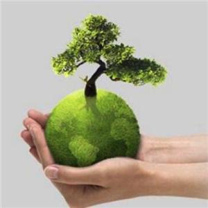 Plástico limitado há 10 anos, velhos problemas ainda existem, o novo formato trouxe novos desafios - você pede comida para viagem ecologicamente correta