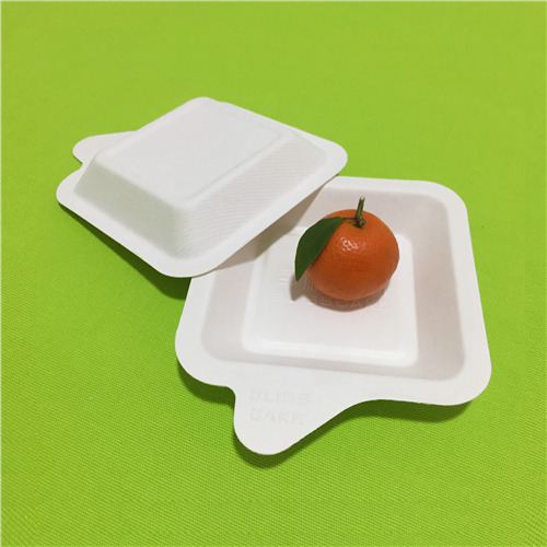 bandeja para bolo de polpa de cana biodegradável