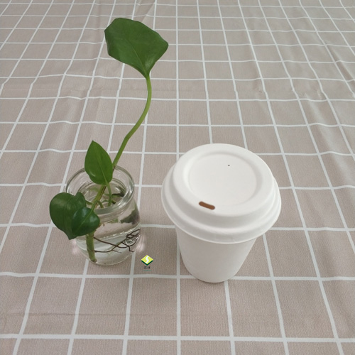 copo e tampa de polpa de cana biodegradável