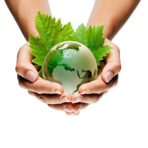 A Holanda proibirá alguns produtos plásticos descartáveis ​​a partir de julho de 2021