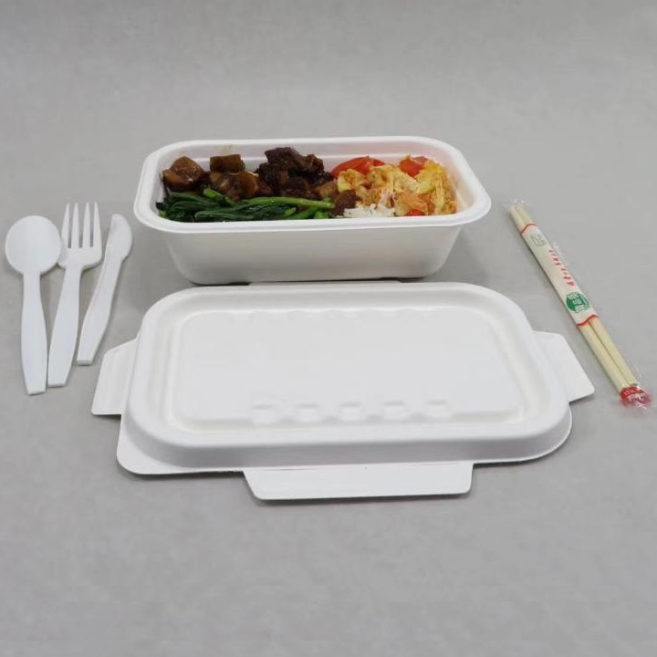 Conferência de compartilhamento de caixas de talheres de bagaço da Shenglin Packaging