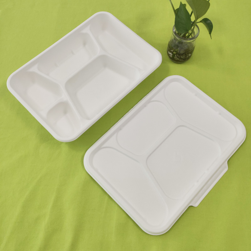bandeja para bagaço com 5 compartimentos e tampa