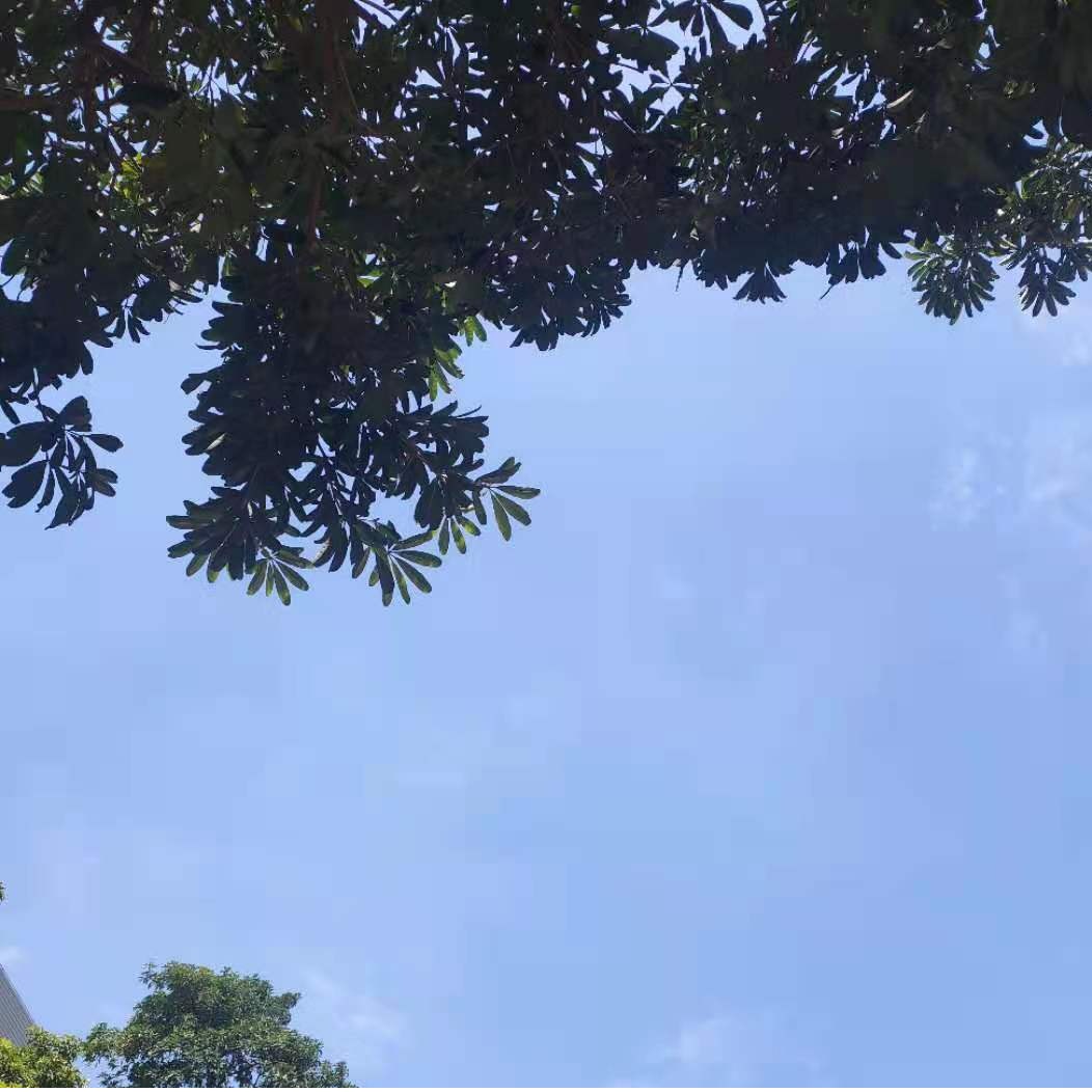 O Dia Mundial da Terra