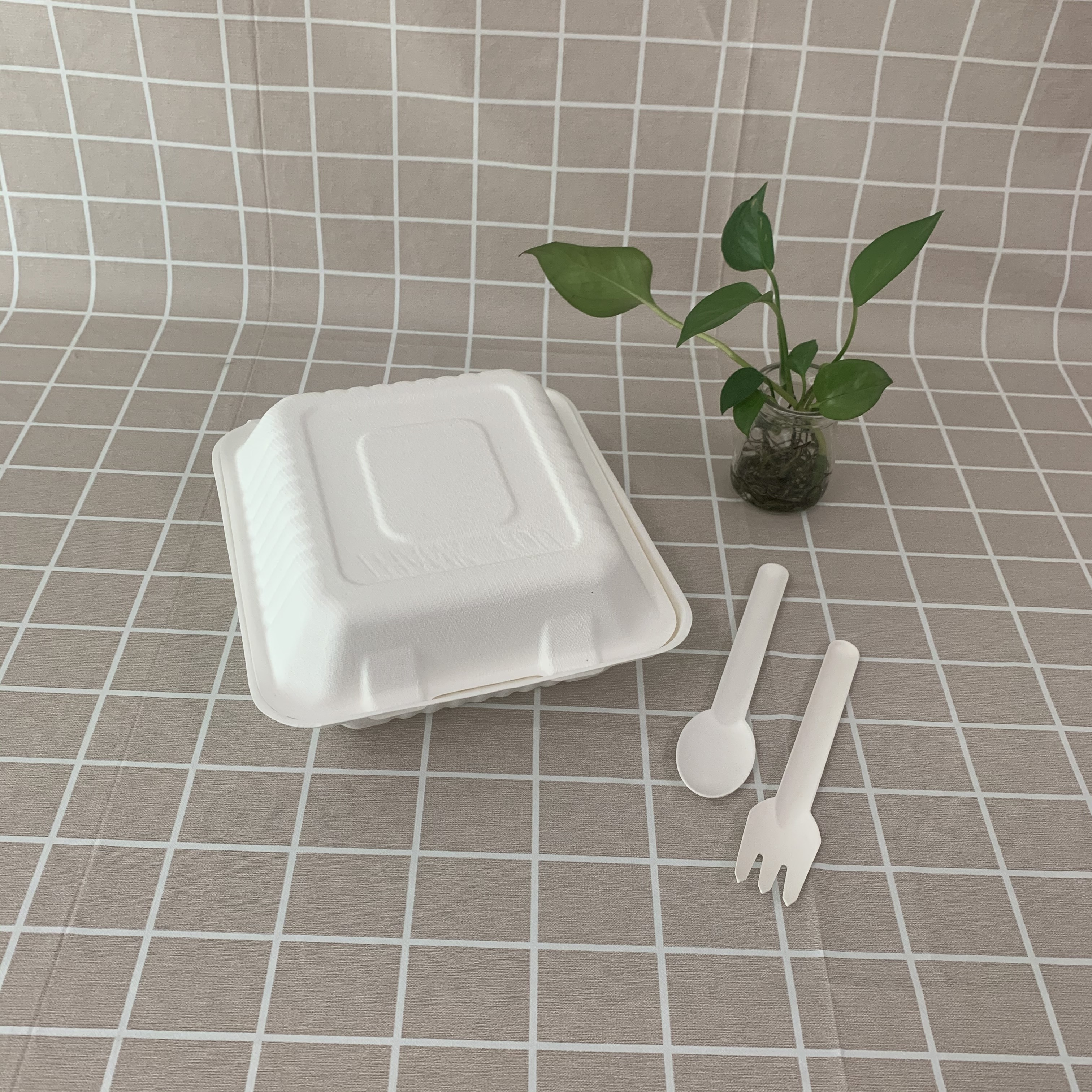 Carregamento de recipientes de alimentos com bagaço ecológico