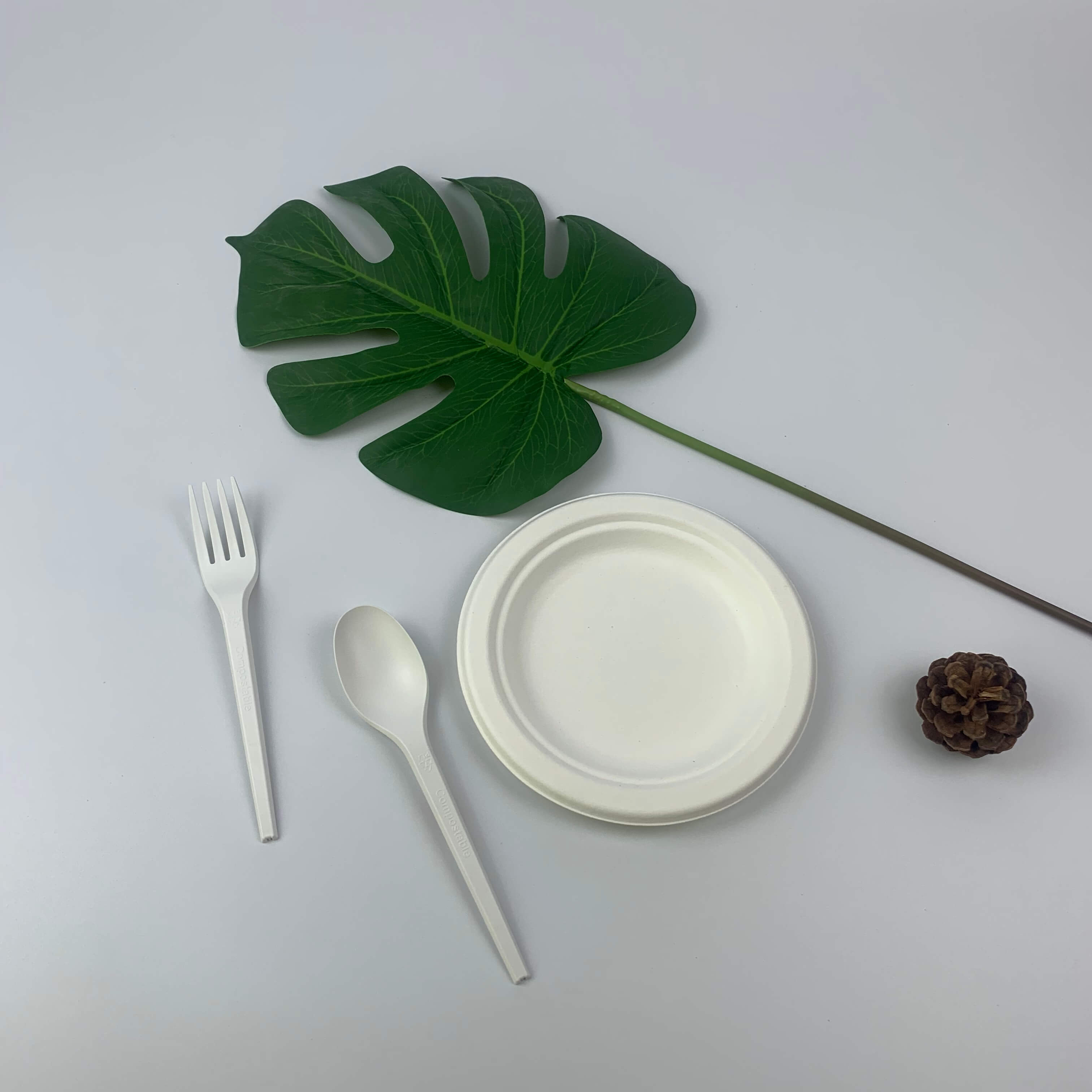 Bagaço é utilizado como material ecologicamente correto
