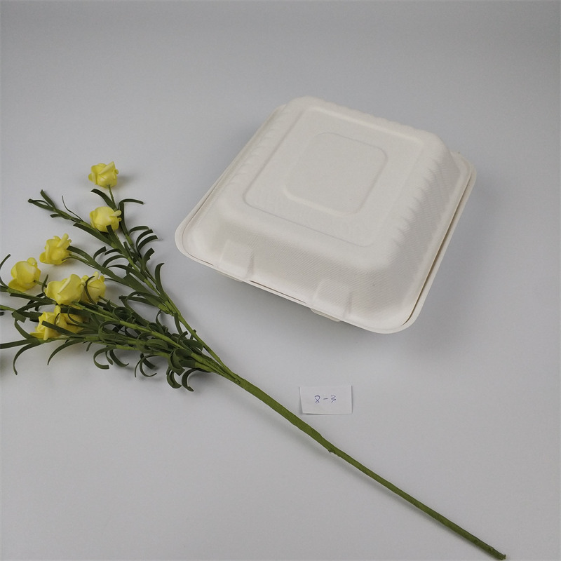 Caixa biodegradável em concha para alimentos de 8 polegadas