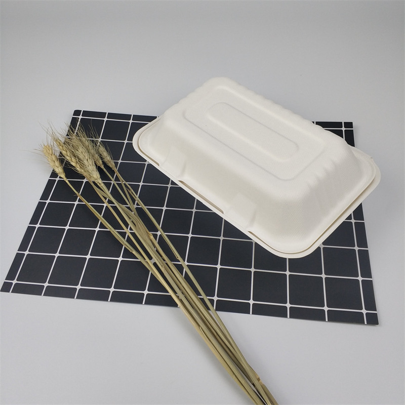Bagaço descartável biodegradável 9*6inch da cana-de-açúcar para ir caixa do alimento