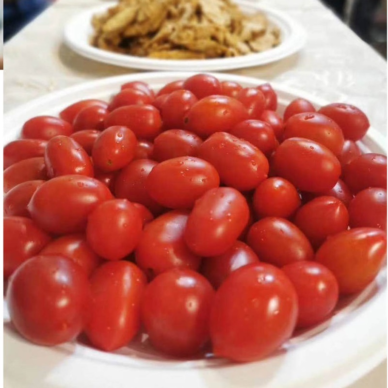 Pratos de mesa de bagaço de celulose de fibra