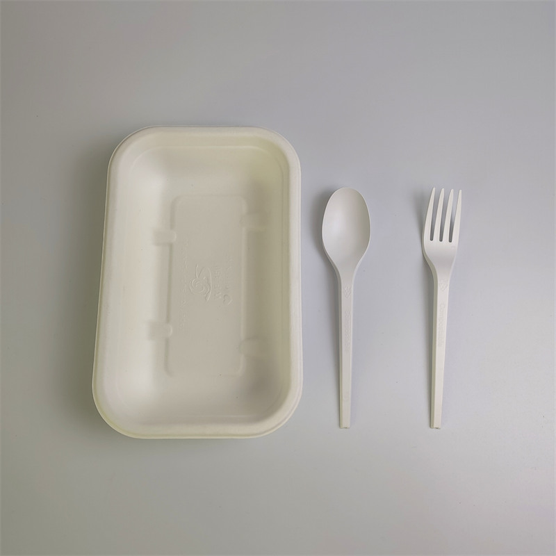 Cana-de-açúcar 500/650/750ml To Go Recipiente para alimentos com tampa de fivela
